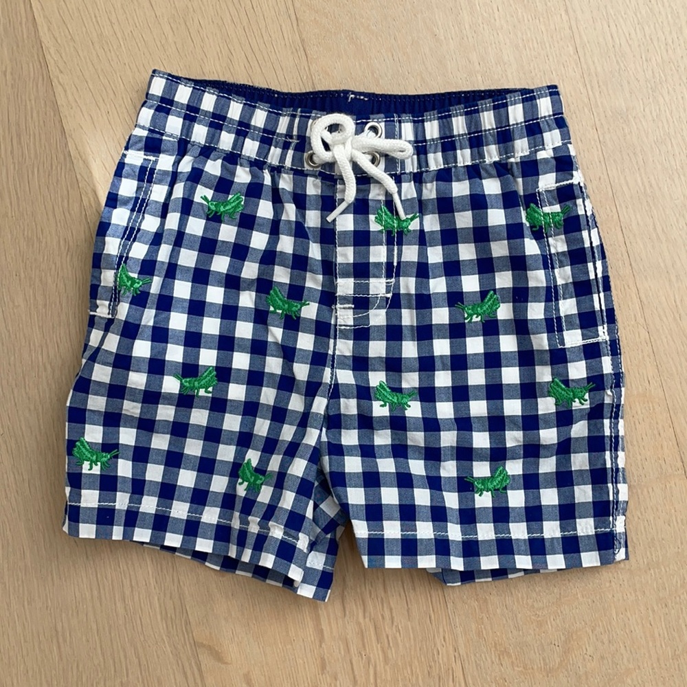 NWOT Baby Boy Gingham Shorts (9m)